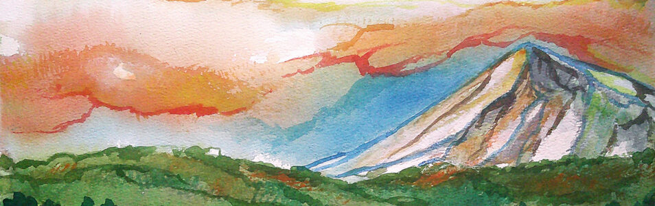 Study 06